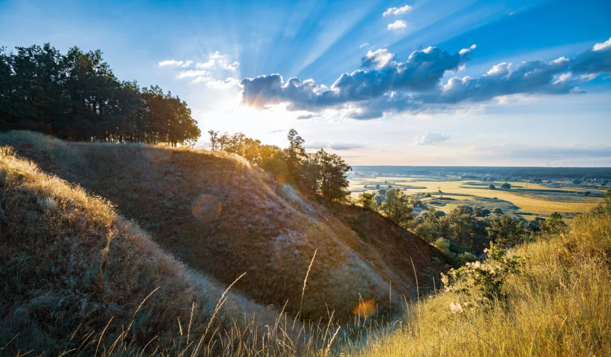 Oto Jak opublikować artykuły sponsorowane W 11 Dni