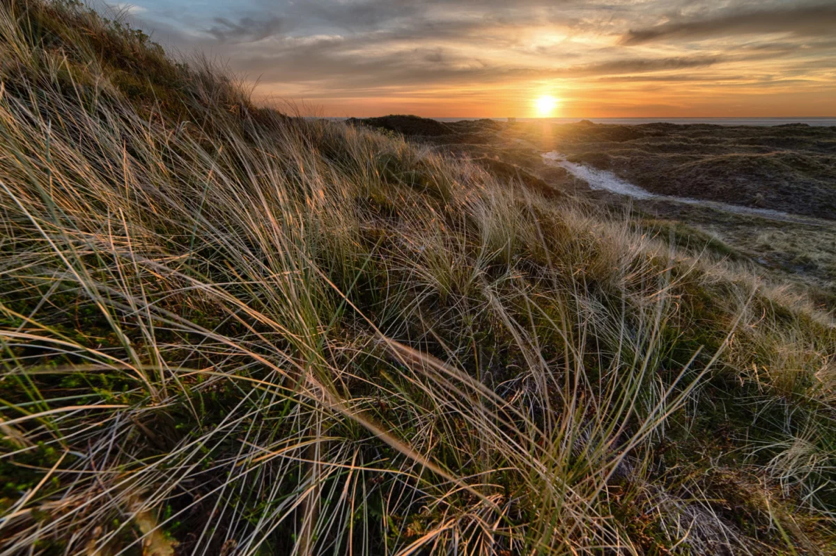 Czy Wiesz Jak Oddać elektrośmiecie w Poznaniu W 7 Dni?