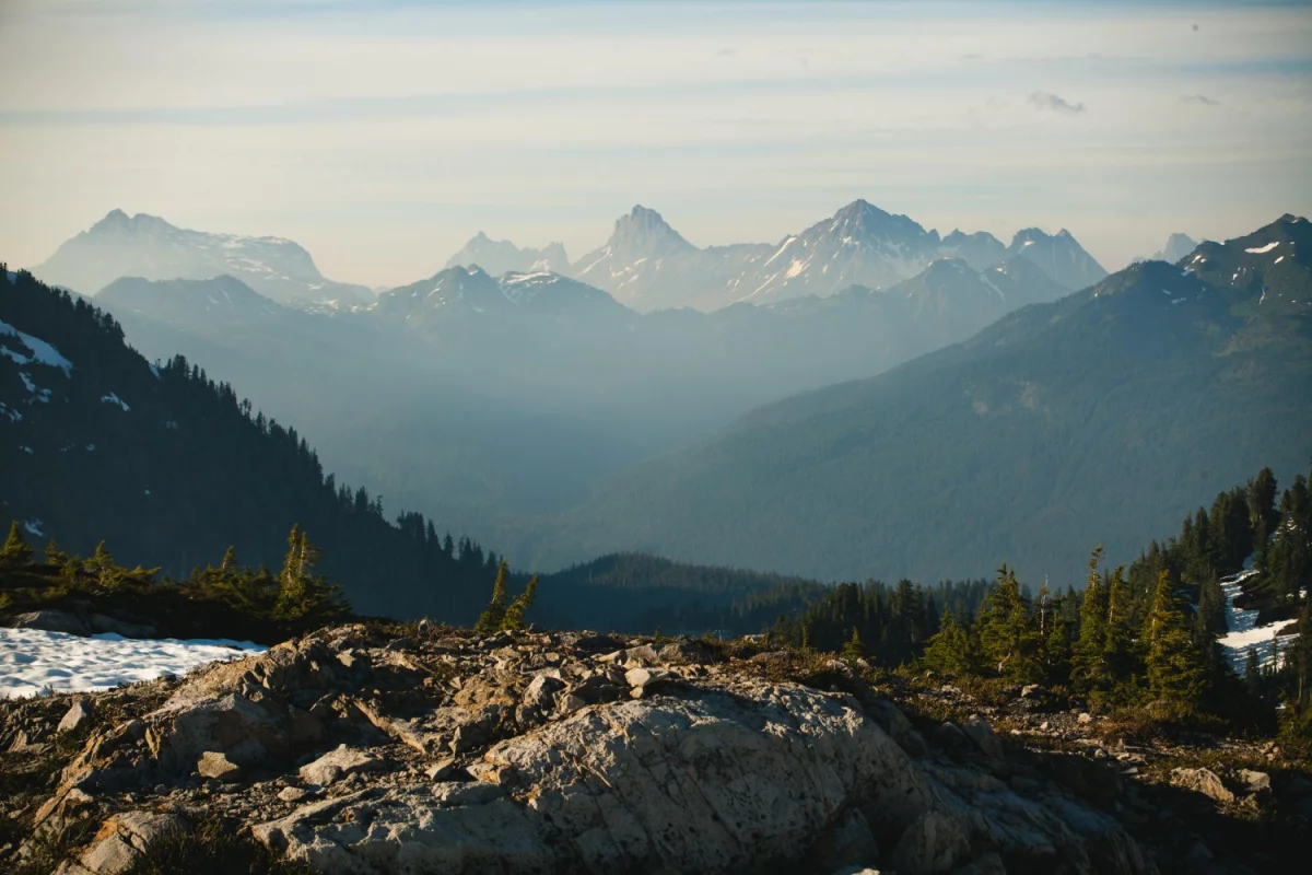 Kuchnia roslinna, wegetarianizm i weganizm