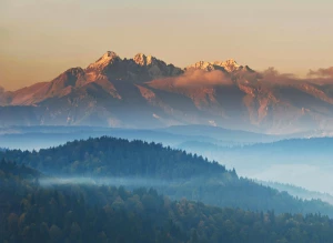 Czy w 2023 warto  kupić programy?