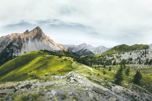 Gdzie znajdziemy transformator i od czego służy?