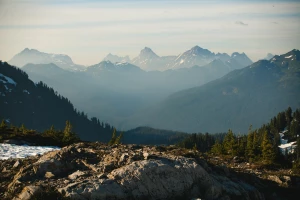 Gdzie kupić Comarch ERP XT?